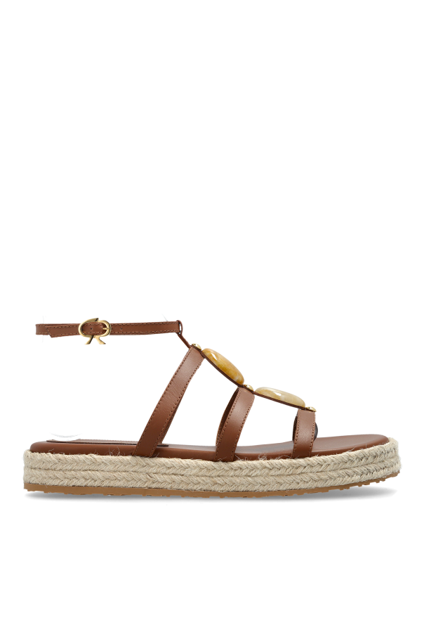 Gianvito Rossi - Women - Sandals - Brown 235090₽
